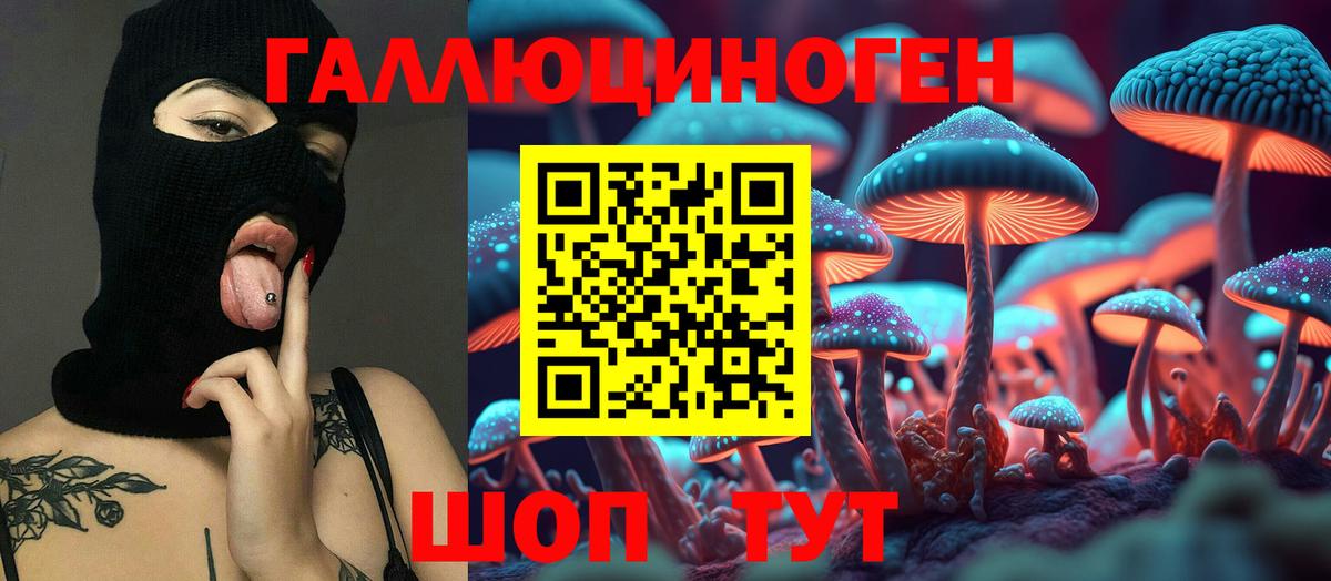 Галлюциногенные грибы Psilocybe Санкт-Петербург